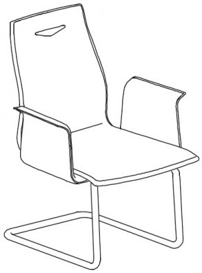 Кресло с низкой спинкой. Хромированная база-полозья, с подлокотниками Аттива / Attiva 807