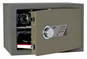 Сэйфтроникс / Safetronics NTR 24E