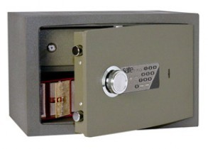 Сэйфтроникс / Safetronics NTR 24Ms